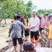 Tinjau Banjir di Desa Glindah, Wabup Alif Tegaskan Perbaikan Tanggul Kali Lamong Segera Dilakukan