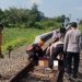 Misteri di Rel Purwodadi, Potongan Tubuh Pria Gegerkan Warga