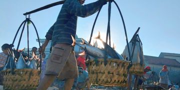 Sektor Perikanan Sumenep Dinilai Jadi Pertumbuhan Ekonomi dan Serap Tenaga Kerja