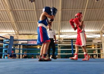 Pertina Sidoarjo Cari Bibit Unggul, Sebanyak 84 Petinju Ikuti Fun Fight Boxing