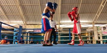 Pertina Sidoarjo Cari Bibit Unggul, Sebanyak 84 Petinju Ikuti Fun Fight Boxing
