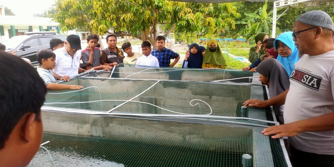 SD Almadany Terapkan Pembelajaran Budi Daya Ikan di Kolam, Siswa Kepincut Ingin Tahu