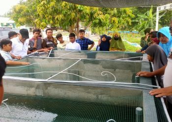 SD Almadany Terapkan Pembelajaran Budi Daya Ikan di Kolam, Siswa Kepincut Ingin Tahu
