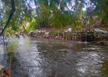 Pencemaran Sungai Harinjing Diduga dari RPH Ayam, Warga Keluhkan Bau dan Minimnya Respons Aparat Lokal