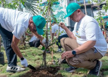 Pelindo Sub Regional Jawa Tanam 5.000 Pohon di Kawasan Pelabuhan