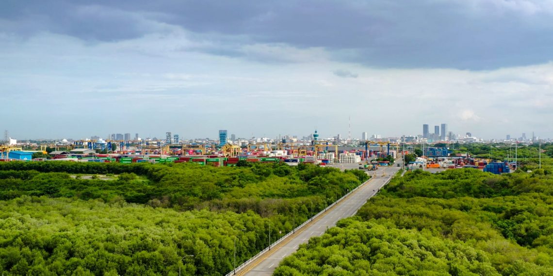 TPS Perluas Ruang Terbuka Hijau, Perkuat Ekosistem Pelabuhan Berkelanjutan