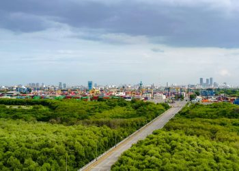 TPS Perluas Ruang Terbuka Hijau, Perkuat Ekosistem Pelabuhan Berkelanjutan