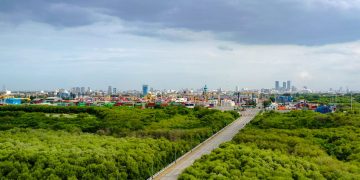 TPS Perluas Ruang Terbuka Hijau, Perkuat Ekosistem Pelabuhan Berkelanjutan