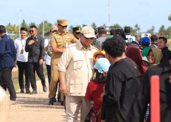 PSN Dorong Kemandirian Pangan dan Ekonomi Lokal Papua Pegunungan