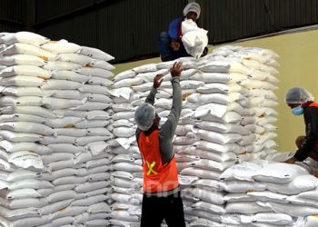 Serap 4 Juta Ton, Pemerintah Perkuat Fondasi Swasembada Pangan Berkelanjutan