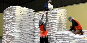 Serap 4 Juta Ton, Pemerintah Perkuat Fondasi Swasembada Pangan Berkelanjutan