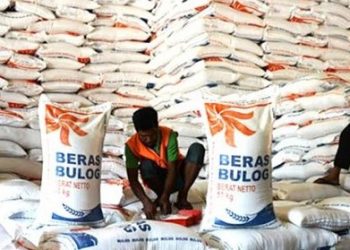 Pemerintah Optimistis Swasembada Beras Jadi Fondasi Kemandirian Pangan Nasional