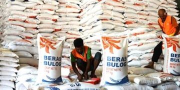 Pemerintah Optimistis Swasembada Beras Jadi Fondasi Kemandirian Pangan Nasional