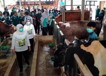 Dari Belakang Sekolah Jadi Pusat Produksi, Gubernur Khofifah Perkenalkan SIKAP Kediri sebagai Model Ketahanan Pangan