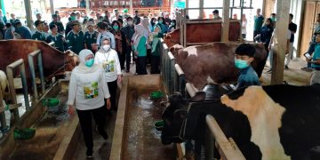 Dari Belakang Sekolah Jadi Pusat Produksi, Gubernur Khofifah Perkenalkan SIKAP Kediri sebagai Model Ketahanan Pangan