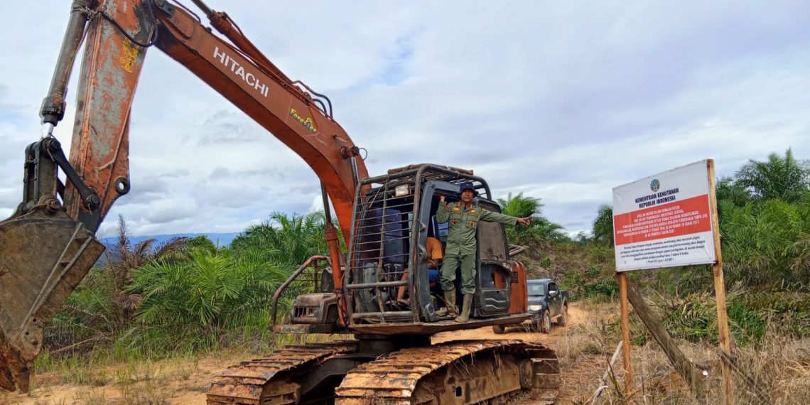 Penertiban Tambang dan Sawit Ilegal Diproyeksikan Tambah Penerimaan Negara Rp 142 Triliun