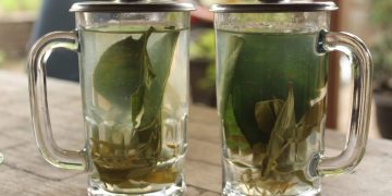 Wedang Kayu Putih Khas Sumber Bahagia, Inovasi Warga Olah Limbah Perhutani Jadi Minuman Hangat Menyehatkan