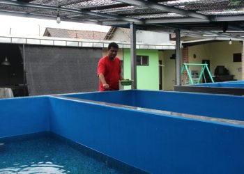 Dari Nol Pengalaman, Prima Bershasil Bangun Usaha Pembenihan Lele di Plosoklaten