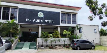 Lahan Kas Desa Disewa RS Aura Syifa, Dugaan Alih Fungsi Jadi Sorotan Warga