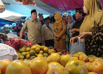 Bisa Jadi Ikon Sidoarjo, BHS Dorong Perbaikan Pasar Krian