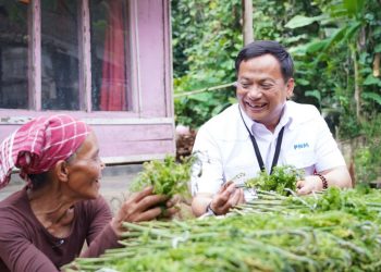 Air Mata Ibu di Jalanan, Harapan Baru dari PNM Meekar untuk Perempuan Prasejahtera