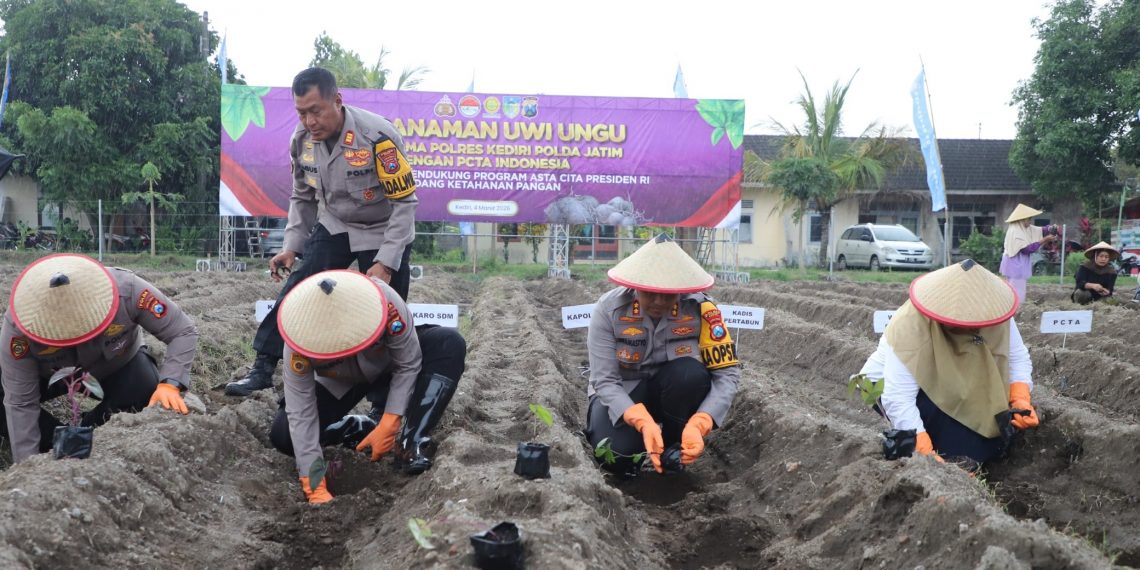 Perkuat Program Ketahanan Pangan, Polres Kediri Tanam 3.000 Bibit Uwi Ungu