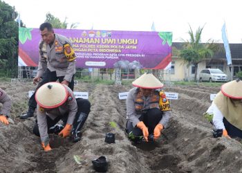 Perkuat Program Ketahanan Pangan, Polres Kediri Tanam 3.000 Bibit Uwi Ungu