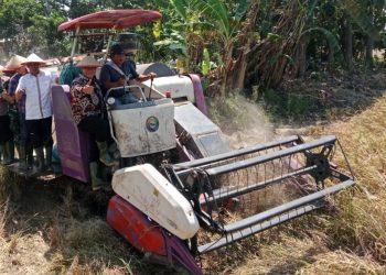Bambang Haryo Dorong Petani Bisa Panen Tiga Kali Setahun