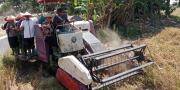 Bambang Haryo Dorong Petani Bisa Panen Tiga Kali Setahun