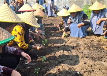 Kartini SMK YPM 8 Sidoarjo Gelar Program ‘SRINAM’, Bekali Siswi Dasar Ketahanan Pangan