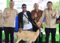 Dari Kandang ke Wirausaha, Wabup Alif Dorong Ekosistem Peternakan Terintegrasi di Gresik