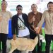 Dari Kandang ke Wirausaha, Wabup Alif Dorong Ekosistem Peternakan Terintegrasi di Gresik