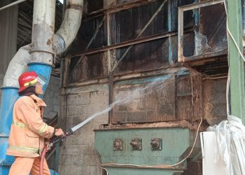 Kebakaran Pabrik Tripleks di Pare Kediri, Kerugian Capai Rp 50 Juta