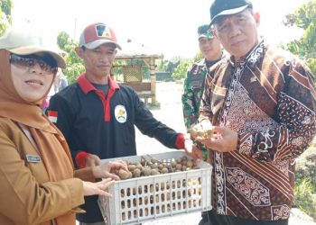 Bambang Haryo Dukung Kebun Kelengkeng Tulangan Jadi Pusat Wisata Edukasi