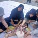 SMA Negeri 1 Waru Tanamkan Jiwa Kebersamaan Melalui Idul Adha
