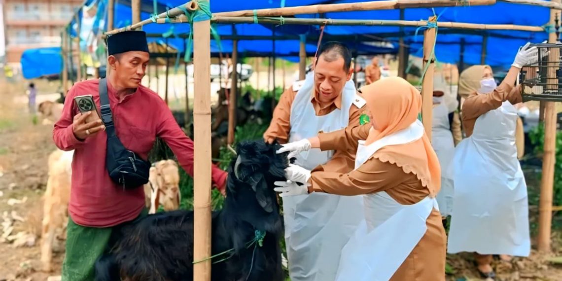Jelang Idul Adha 2026, DKPP Sumenep Intensif Cek Kesehatan Hewan Kurban