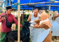 Jelang Idul Adha 2026, DKPP Sumenep Intensif Cek Kesehatan Hewan Kurban