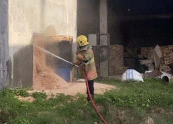 Kebakaran Pabrik Kayu di Pare Kediri Dipicu Percikan Mesin, Damkar Bergerak Cegah Api Meluas