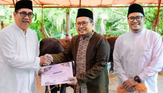 Momen Iduladha, Petrokimia Gresik Distribusikan Hewan Kurban Senilai Rp 1,8 Miliar, SIG Bagikan 292 Hewan Kurban