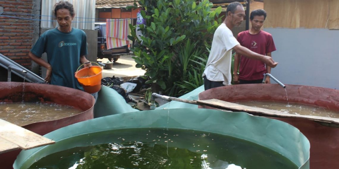Rumah Lansia Gusdurian Mojokutho Pare Kembangkan Kolam Lele, Dorong Kemandirian Pangan dan Operasional