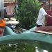Rumah Lansia Gusdurian Mojokutho Pare Kembangkan Kolam Lele, Dorong Kemandirian Pangan dan Operasional