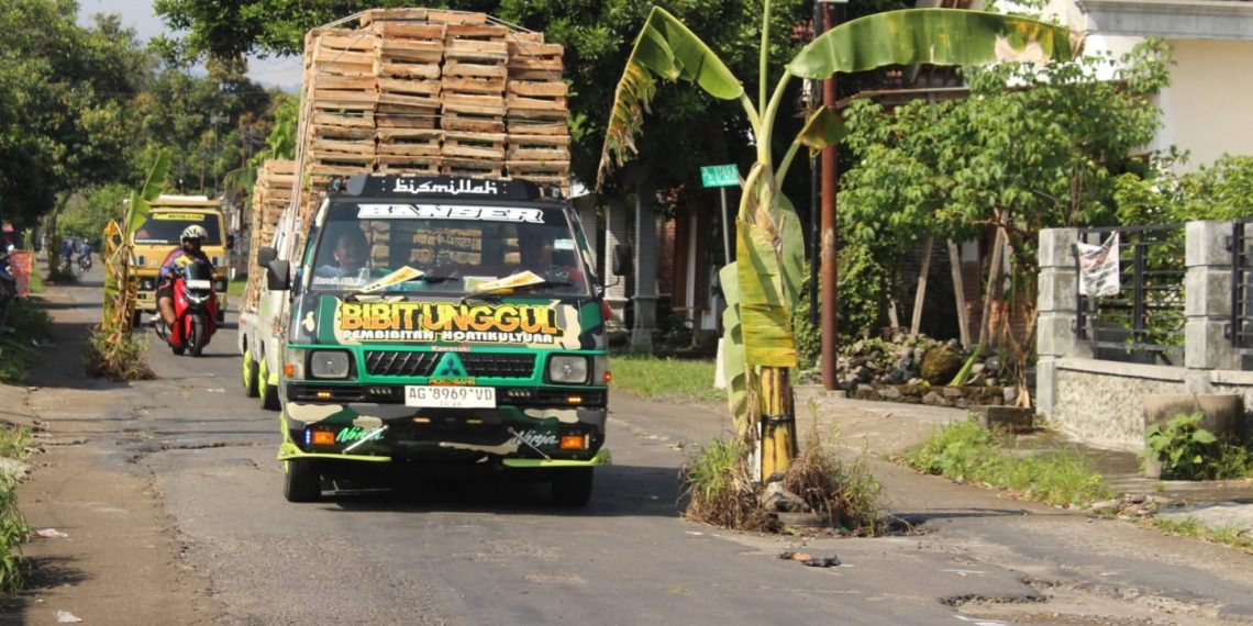 Warga Tanam Pohon Pisang di Jalan Rusak, PUPR Kediri Akui Banyak Proyek Ditahan