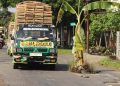 Warga Tanam Pohon Pisang di Jalan Rusak, PUPR Kediri Akui Banyak Proyek Ditahan
