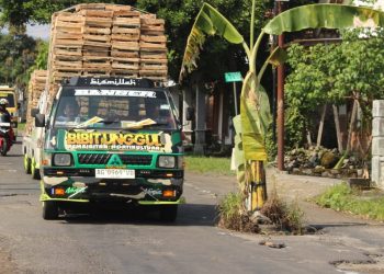 Warga Tanam Pohon Pisang di Jalan Rusak, PUPR Kediri Akui Banyak Proyek Ditahan