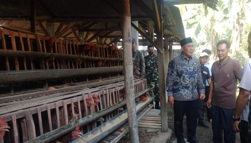 Bambang Haryo Minta Harga Telur Sesuai HET, Untuk Jaga Keberlanjutan Usaha Peternak