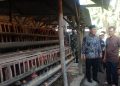 Bambang Haryo Minta Harga Telur Sesuai HET, Untuk Jaga Keberlanjutan Usaha Peternak