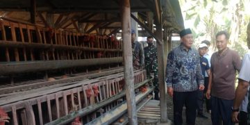 Bambang Haryo Minta Harga Telur Sesuai HET, Untuk Jaga Keberlanjutan Usaha Peternak