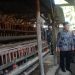 Bambang Haryo Minta Harga Telur Sesuai HET, Untuk Jaga Keberlanjutan Usaha Peternak