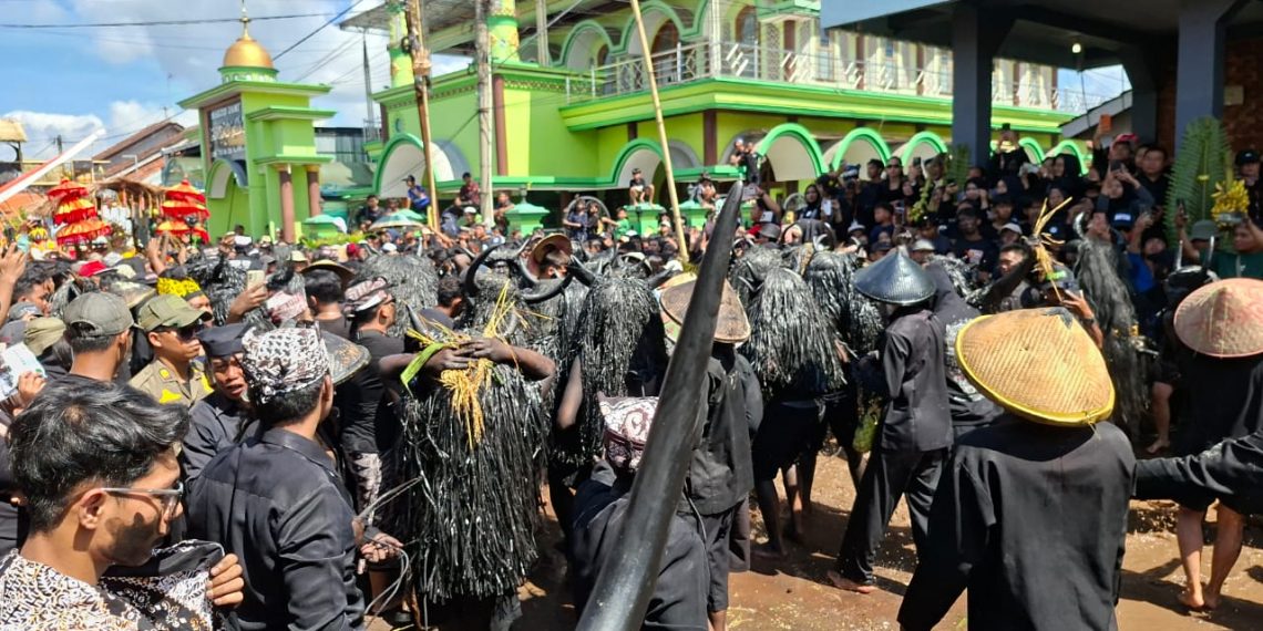 Lestarikan Tradisi, Anggota DPRD Banyuwangi Suwito Apresiasi Ritual Adat Kebo-Keboan Alasmalang