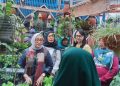 Menteri PPPA Temukan Kampung Barter Hasil Panen, Ketahanan Pangan Tumbuh dari Pekarangan Rumah
